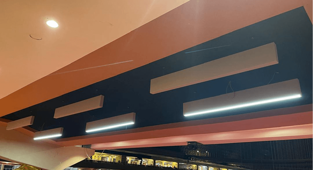 Dunamis project view 5